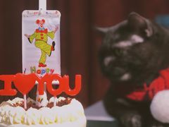 -派悦坊·甜品·蛋糕(日坛店)