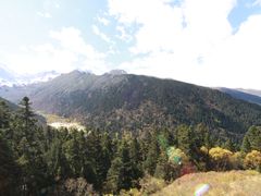 -黄龙山原始森林景区