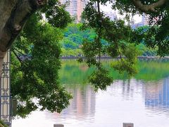 -白鹭洲公园