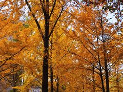 -河南省黄河迎宾馆