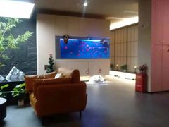 -宫七SPA·高端Massage(浦东大道店)
