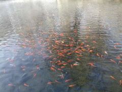 -水磨沟公园