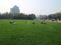 -大连人民广场