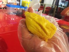 -都念榴莲·城市榴莲