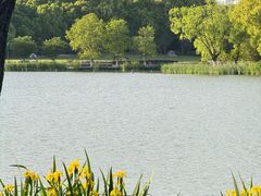 -昆山城市生态森林公园