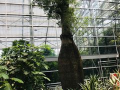 -南山植物园