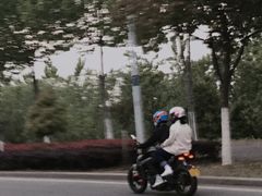 -合肥滨湖国家森林公园