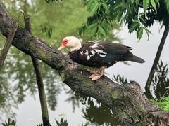 -洪湖家庭农场·团建·露营·会议