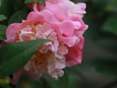 -行人小筑·茶馆(岑村火炉山分店)