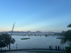 -希尔顿南海酒店·观廊大堂吧·海景下午茶