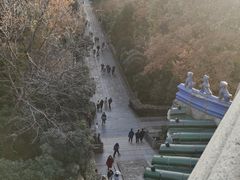 -灵谷景区