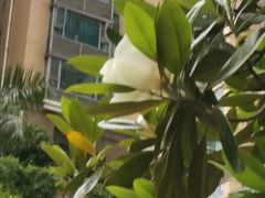-广州珠江新城木莲庄酒店(暨南大学店)