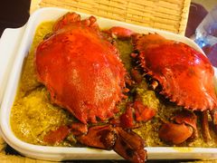 -茉莉.Red Crab