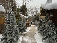 -HERRE·FARM 赫尔露营农场·团建聚会包场