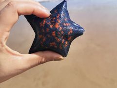 -青岛银沙滩