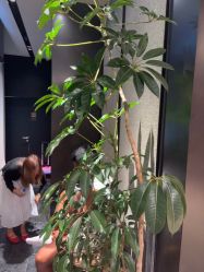 点击看大图 -欧兔博士·O2BOX微高压氧舱