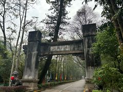 -鼎湖山风景区