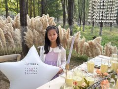 -长白岛森林公园