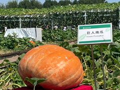 -长春农博园