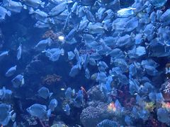 -海合安青岛极地海洋公园