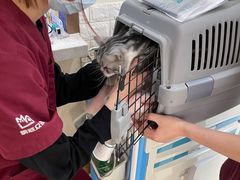 -美联众合动物医院·24h京西诊疗中心