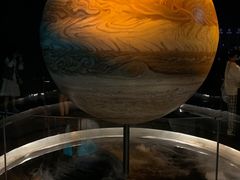 -贝林大翅鲸简餐厅(国家海洋博物馆店)