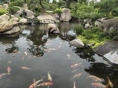 -罗红摄影艺术馆