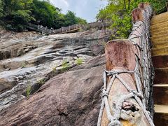 -广州白江湖森林公园