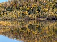 -五营红松林海景区