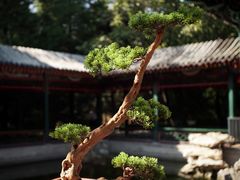 -宣武艺园