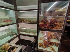 -甄御•海鲜新青岛菜(麦岛店)