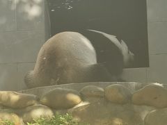 -石排湾郊野公园