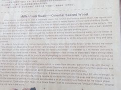 -海口骑楼小吃街