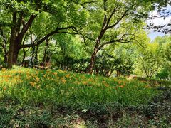 -徐家汇源景区-衡山公园