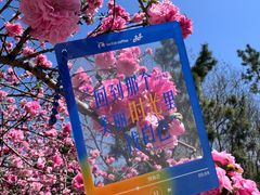-南翠屏公园