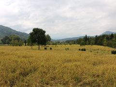 -塔川景区