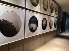 -广州W酒店