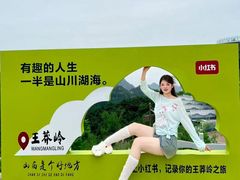 -王莽岭风景区