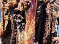 -伍忠号黄家烤肉正宗楼