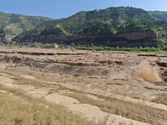 -陕西黄河壶口瀑布旅游区