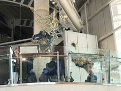 -澳大利亚国家海事博物馆