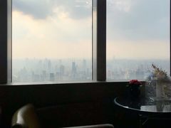 -The lounge 柏悦酒店大堂酒廊(上海环球金融中心店)