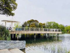 -新江湾城公园