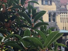 -青岛德国总督楼旧址博物馆
