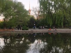 -玲珑塔公园