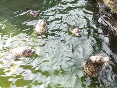 -华夏文旅西安度假区