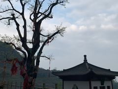 -萍乡武功山风景名胜区