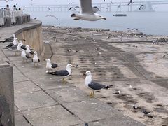-星海广场