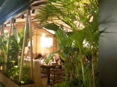 -大头椰·椰子鸡火锅(南宁万象城店)