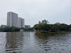-荔湾湖公园